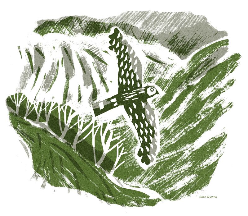 Merlin. Illustration by Alan Dunne