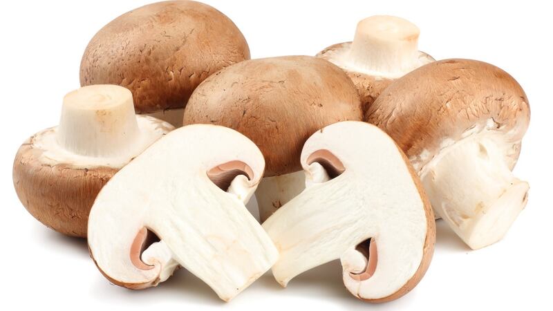 Grow your own: mushroom workshop in Dublin, May 18th-19th