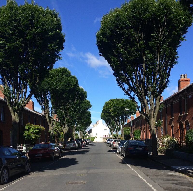 Norfolk Road, in Phibsborough Dublin 7