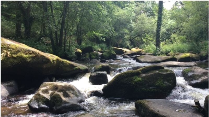 Take a picnic for a walk along the  bubbling Gouët river.