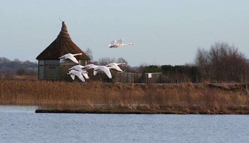 Lough Boora Discovery Park in Co Offaly