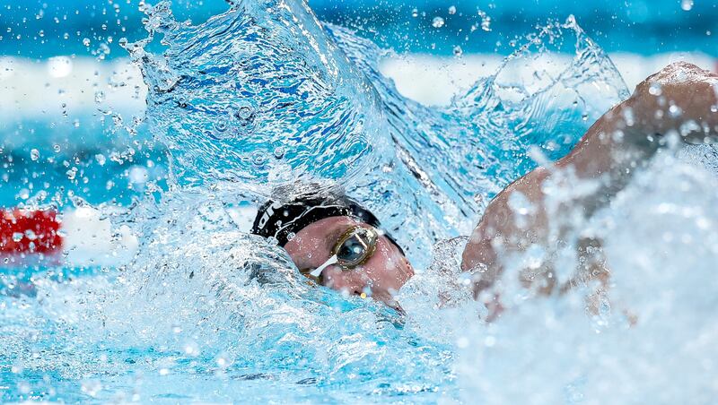 Daniel Wiffen competes in the men's 800m freestyle final. Photograph: James Crombie/Inpho