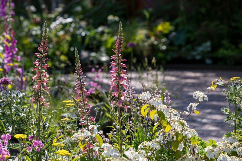 Colour and spice ... and all things nice. Photograph: Fennell

