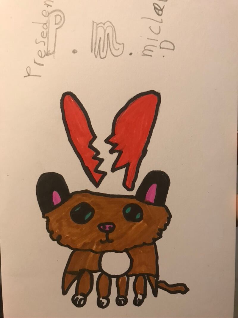 Drawing from eight-year-old Donnchadh Guilfoyle, after the death of President Michael D Higgins’s dog Síoda