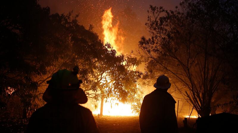 Firefighters at a fire near the Pacific Highway, north of Nabiac, New South Wales. Photograph: EPA/DARREN PATEMAN