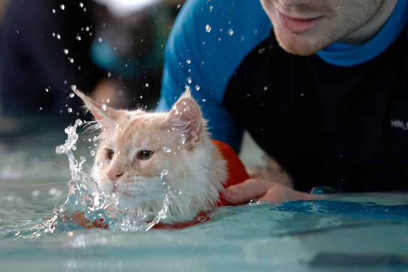 Billy makes a splash