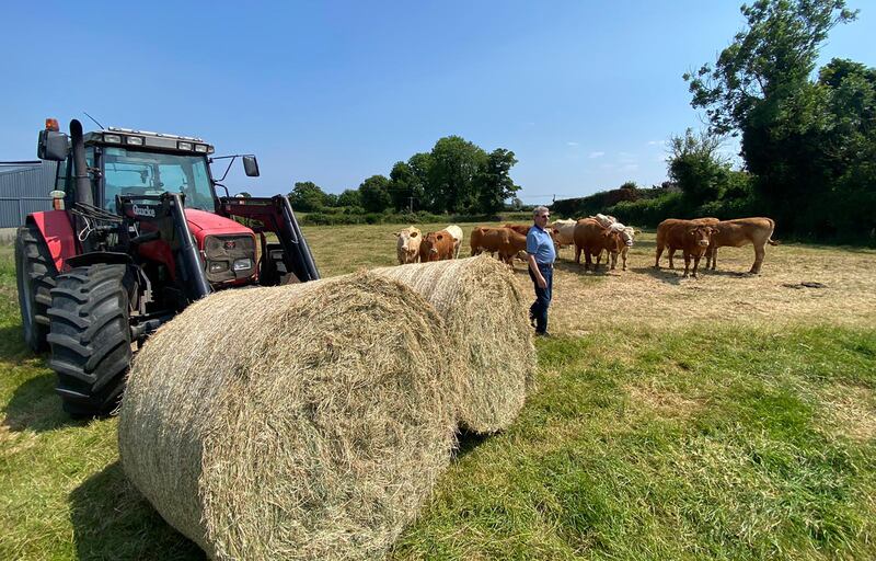 Ray McCormack on his farm in Lanesborough, Co Longford.