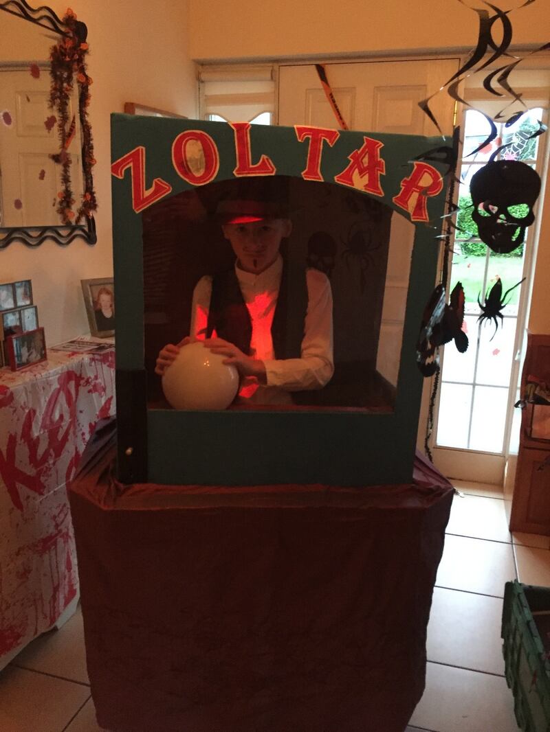 Zoltar Photograph: Joanne Forde