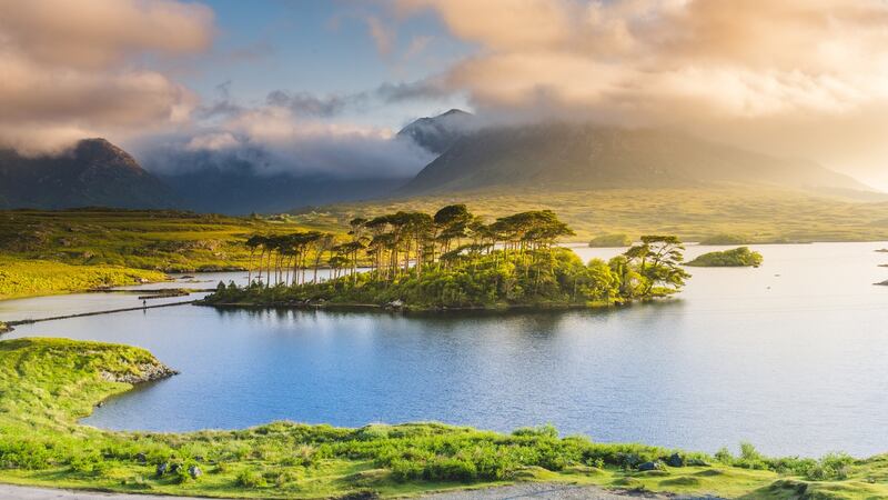 Connemara, Co Galway.