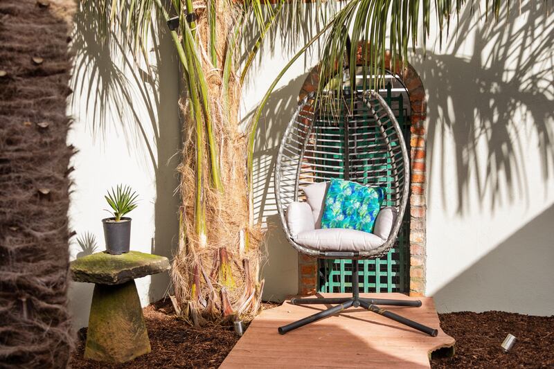 Back garden with Bolivian palm tree