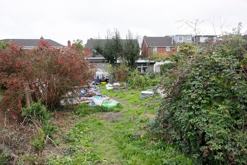 The back garden. Photograph: Chris Maddaloni/The Irish Times