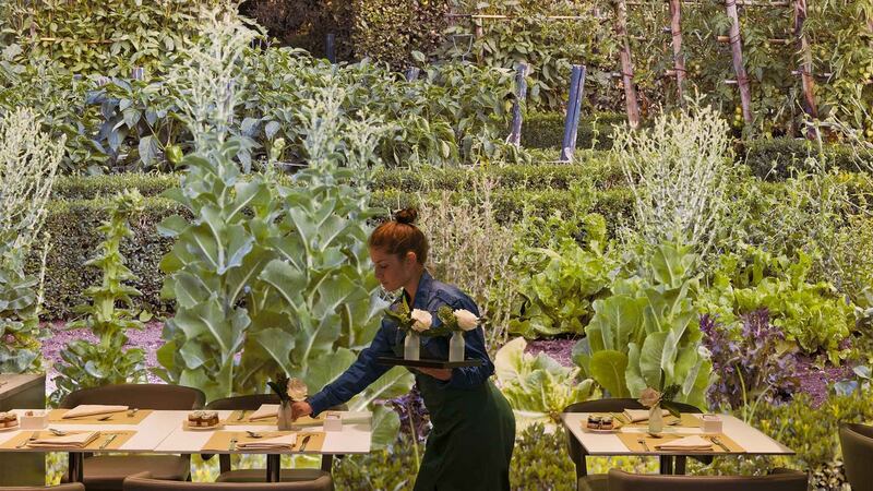 Ecofriendly: the five-star Barcelona Central Hotel, in the heart of the Spanish city