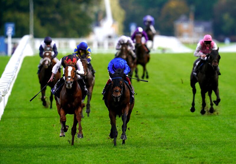 Trawlerman ridden by Frankie Dettori (centre, blue silks) on their way to winning the Qipco British Champions Long Distance Cup during Champions Day at Ascot in 2023. Photograph: John Walton/PA 

