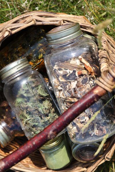 Dried foraged foods picked by Courtney Tyler. Photograph: Nick Bradshaw