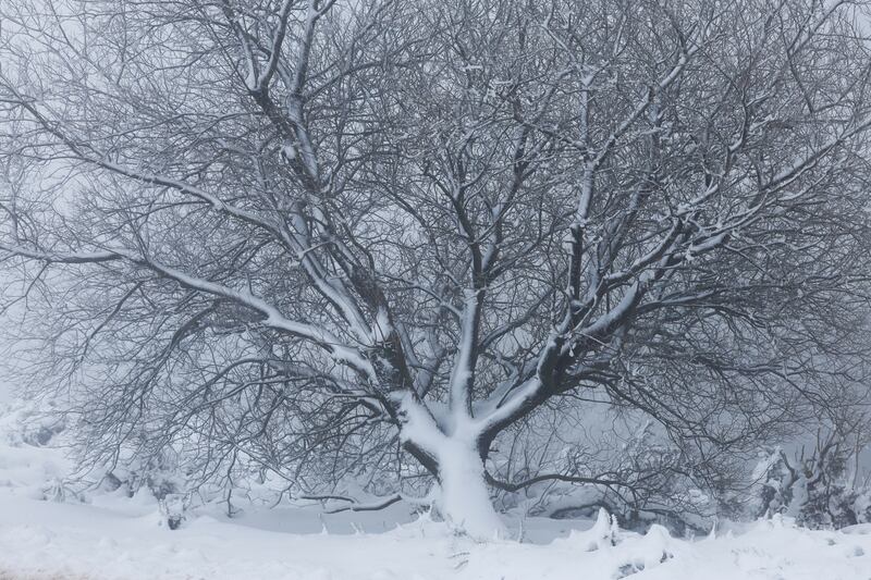 Snowy and foggy conditions in the Wicklow Gap, Co Wicklow. Photograph: Nick Bradshaw/The Irish Times
