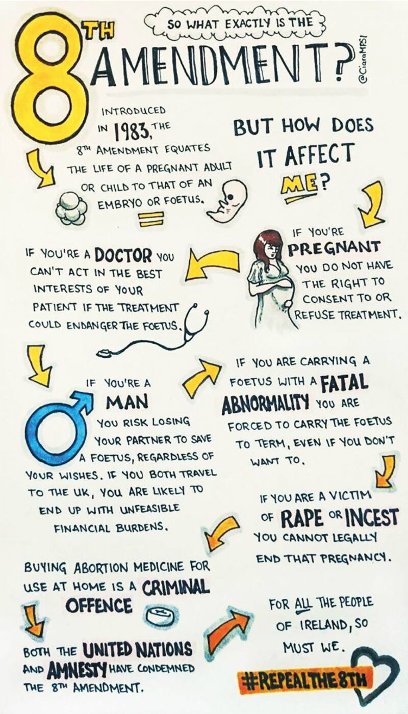 The 8th Amendment,  by Ciara Kenny