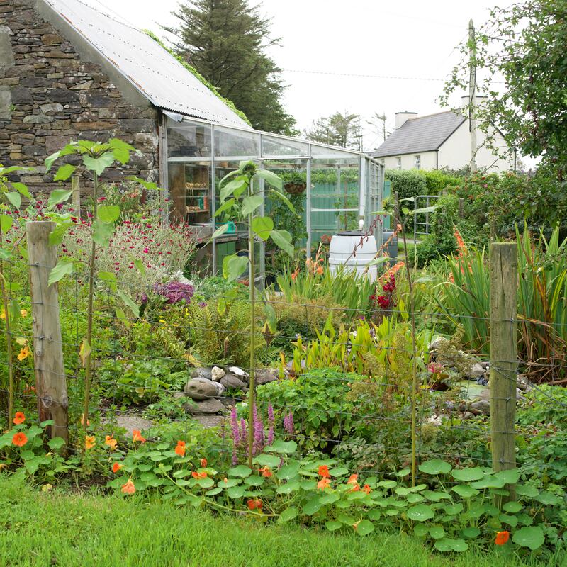 Photograph: Richard Johnston