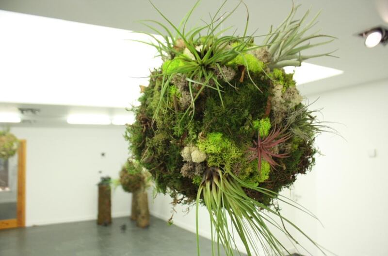 Méadhbh O’ Connor, Biosystem III (2017), from Sustainable Futures at  Sirius Arts Centre