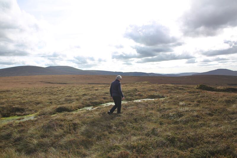 The Liffey begins life in the Wicklow Mountains, flows for about 130km through counties Wicklow, Kildare and Dublin, and then into the Irish Sea at Dublin Bay. Photograph: Bryan O'Brien