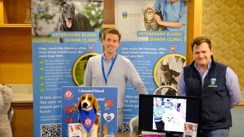 UCD vets raising awareness for pet blood donations 