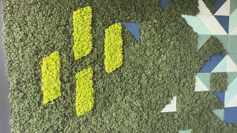 Horizon Therapeutics logo is picked out in a living “mummified” moss wall at the company’s new global headquarters on St Stephen’s Green in Dublin. Photograph: Dominic Coyle