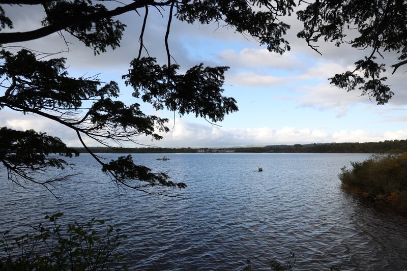 The lakes and trees have changed little since Kernoff painted them more than 70 years ago. Photograph: Bryan O’Brien