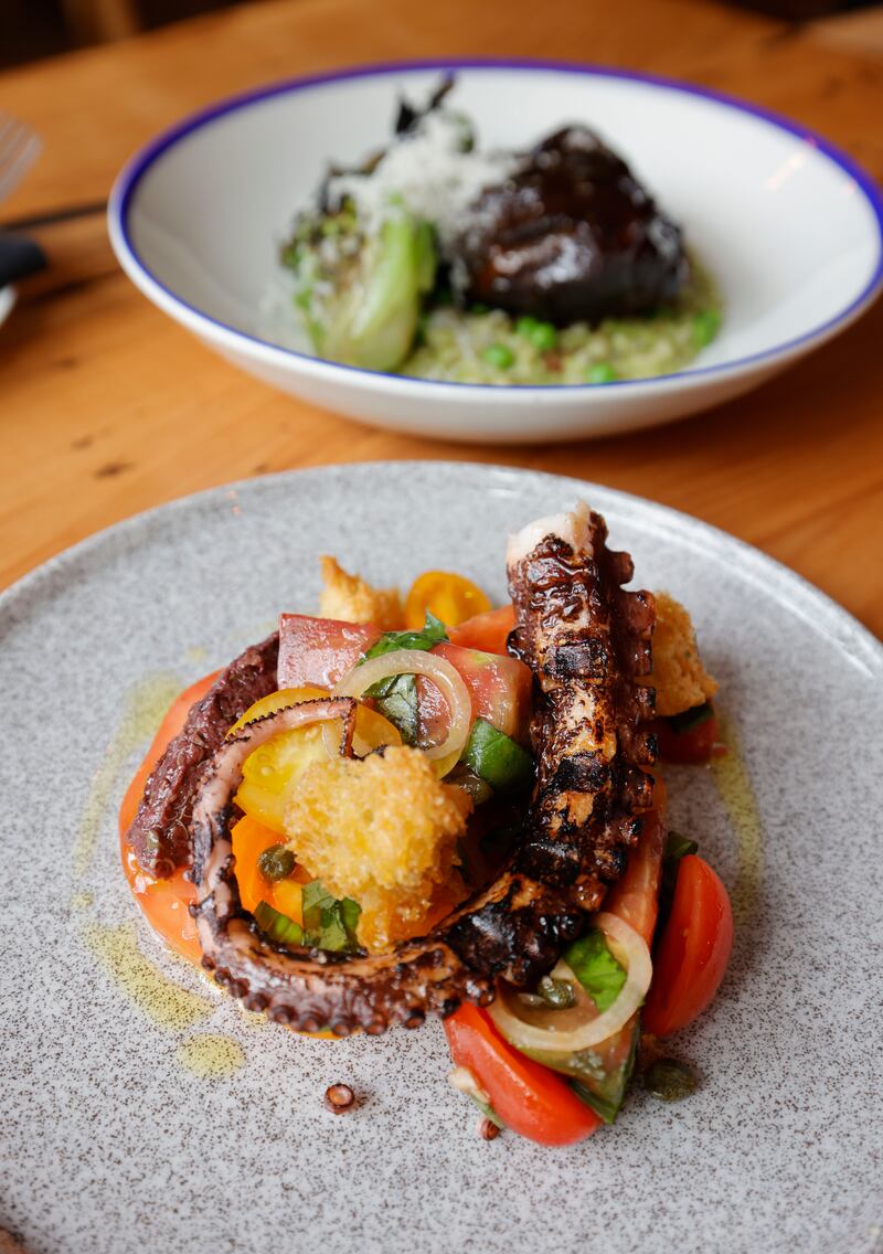 Glazed beef cheek, pea and barley risotto, baby gem and guanciale. 
Chargrilled octopus, heirloom tomato panzanella with black olive tapenade. Photograph: Alan Betson

