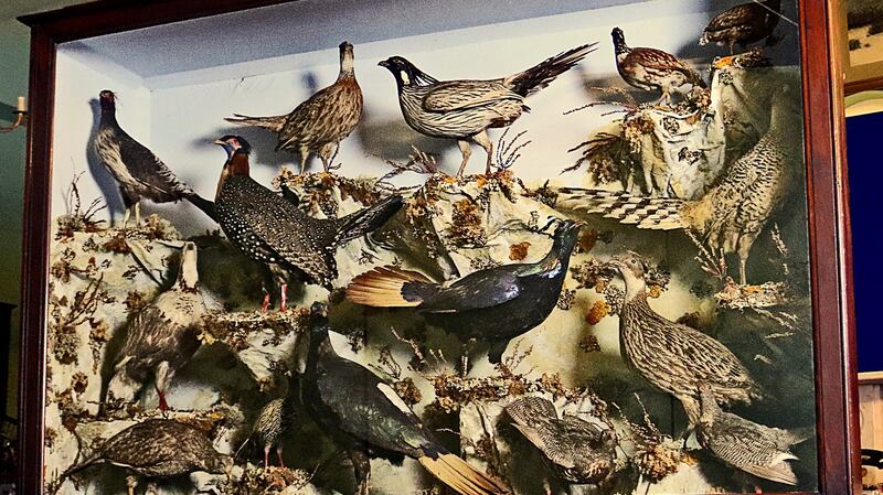 The Pheasants of the World by John Leadbeater