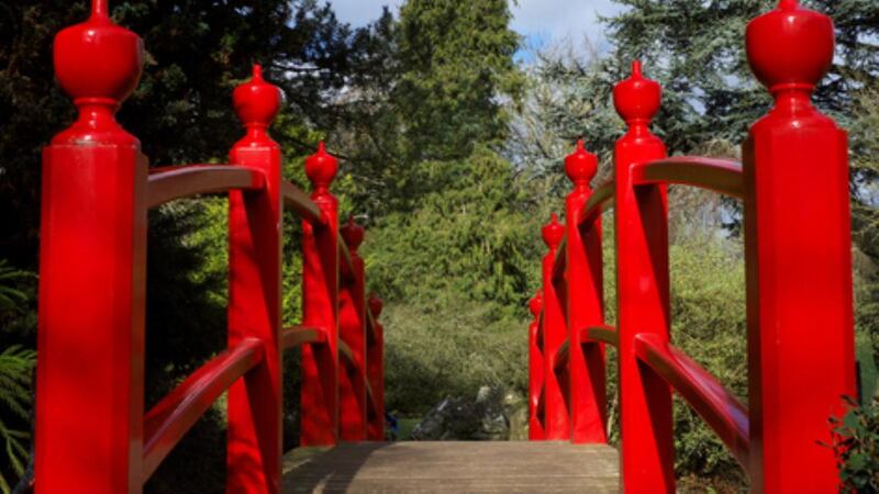 Bridge, Japanese Gardens ,  Kildare