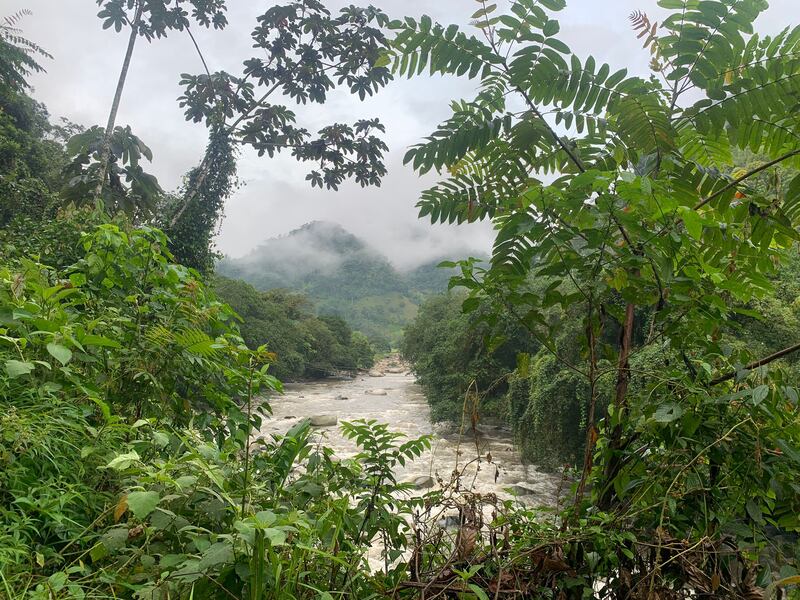 Capurganá, Colombia. Photograph: Peter Murtagh