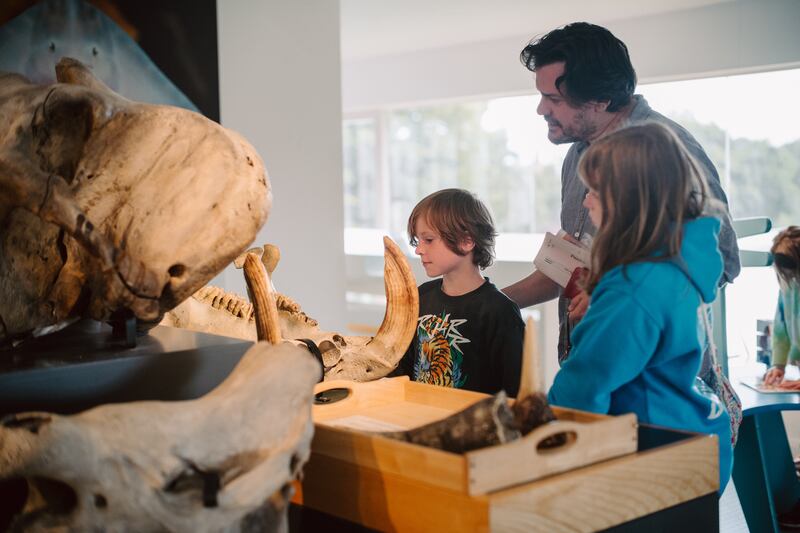 Ulster Museum, Belfast