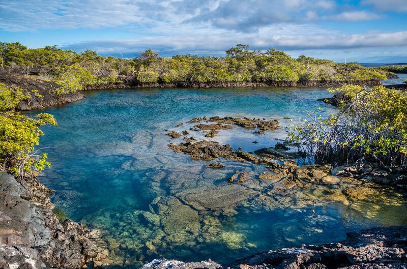 Isabela Island. Photograph: Getty Images