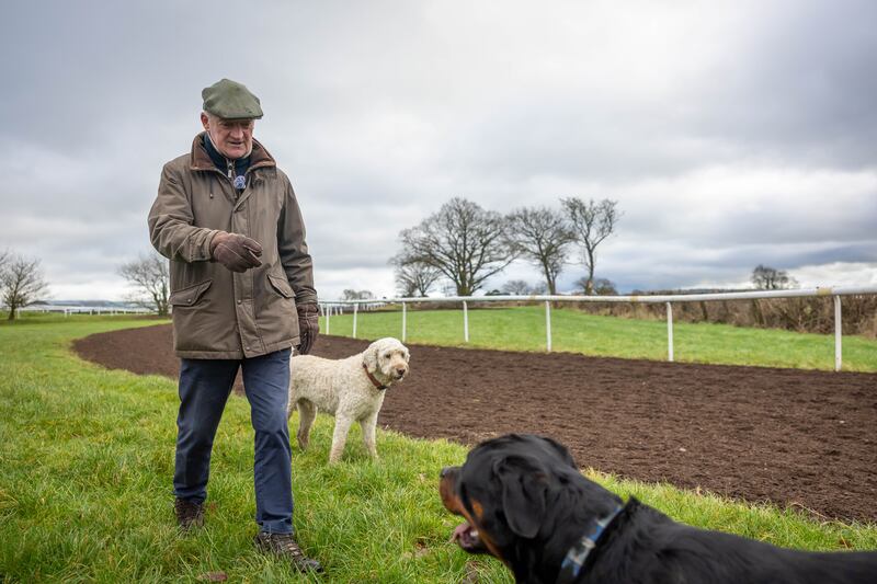 Willie Mullins: 'He’s on the gallop every morning looking at the horses,' his son Patrick has said. Photograph: Morgan Treacy/Inpho