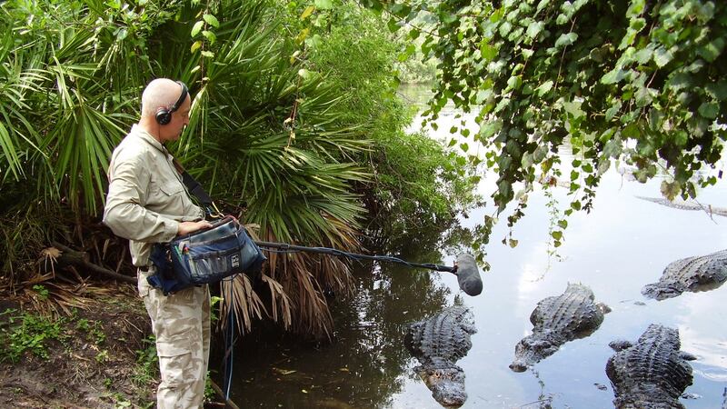 Audio artist at work: Chris Watson recording crocodiles