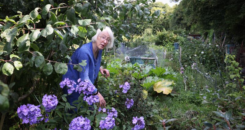 Fridolin Kerr lives seven minutes’ walk away from her allotment in Corkagh Park, Clondalkin. Photograph: Laura Hutton