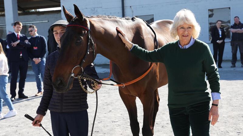 Camilla  appeared totally at ease in the company of Cheltenham Champion Hurdle winner Honeysuckle.  Photograph: Julien Behal Photography