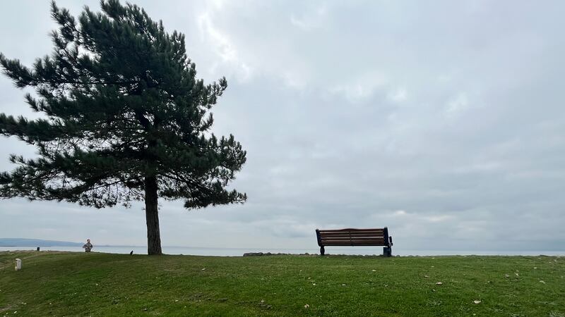 The stories behind some benches were tinged with devastation