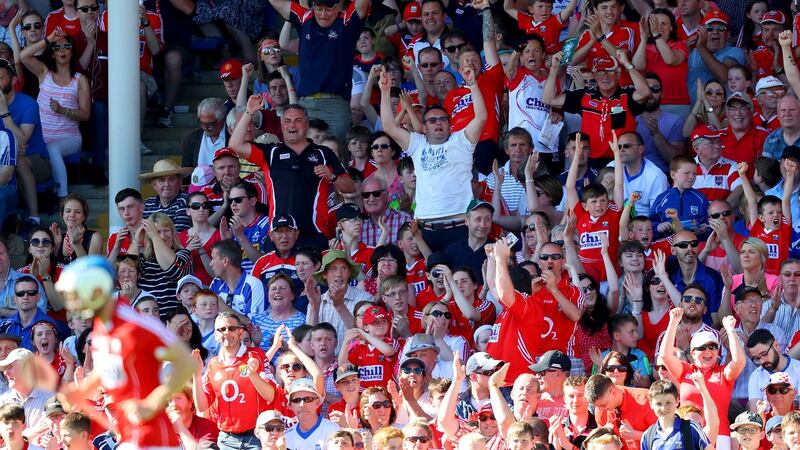 Cork fans in good voice as they celebrate a point against Waterford at  Semple Stadium. Photograph: Oisin Keniry/Inpho