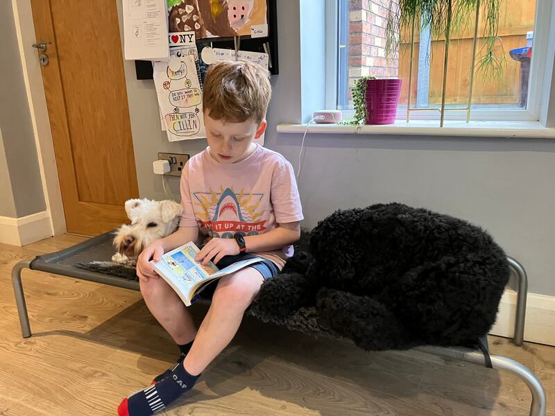 Cillín O’Sullivan's health has been transformed for the better since he started taking medication for ADHD.