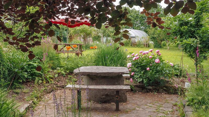 Toons Bridge Dairy’s garden seating. Photograph: Ben Russell
