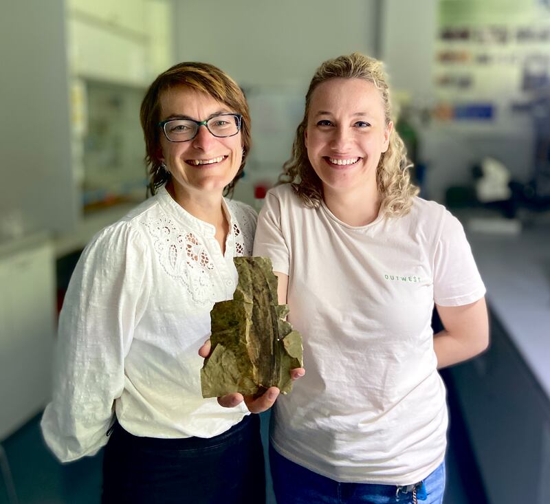 Prof Maria McNamara and Dr Valentina Rossi with a fossil specimen showing the Mirasaura crest. Photograph: UCC