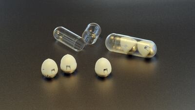 After ingestion, Soma positions itself against the stomach wall and injects insulin in to the bloodstream. Photograph: Frankel Traverso via The New York Times