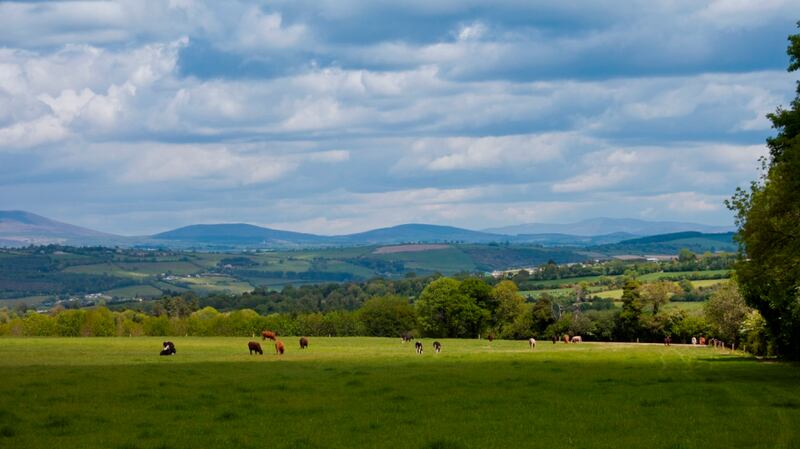Photograph: Getty Images