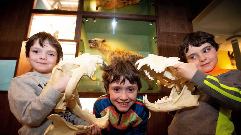 Fionn Wren (6) Aedan Wren (8) and Davy Wren (6) enjoying the exhibits. Photograph: Tom Honan/The Irish Times