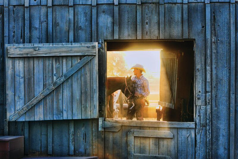 White Stallion Ranch in Tucson Arizona. Photograph: Christine C Photographie