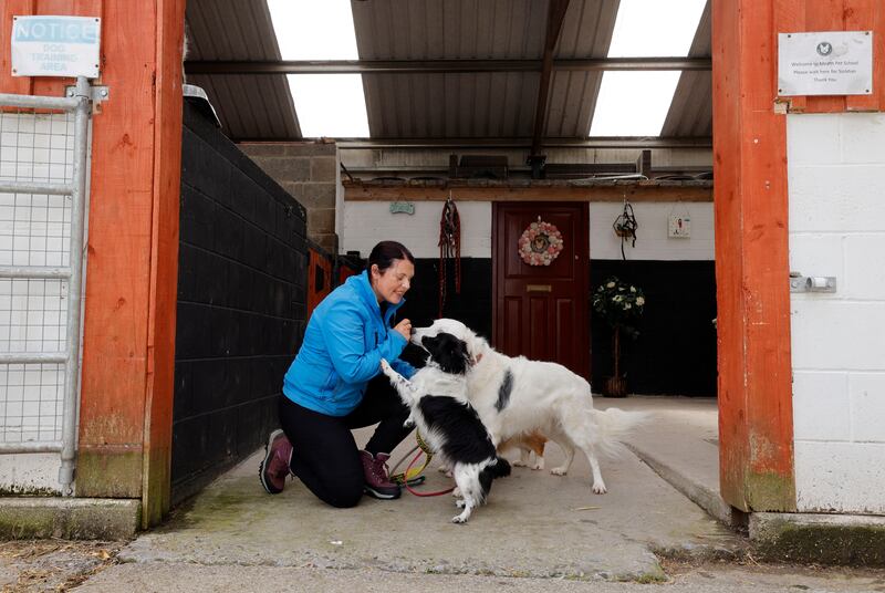 The Owens family moved out of Dublin for a quieter life and to find space for Siobhán to operate her dog-training business. Photograph: Alan Betson / The Irish Times

