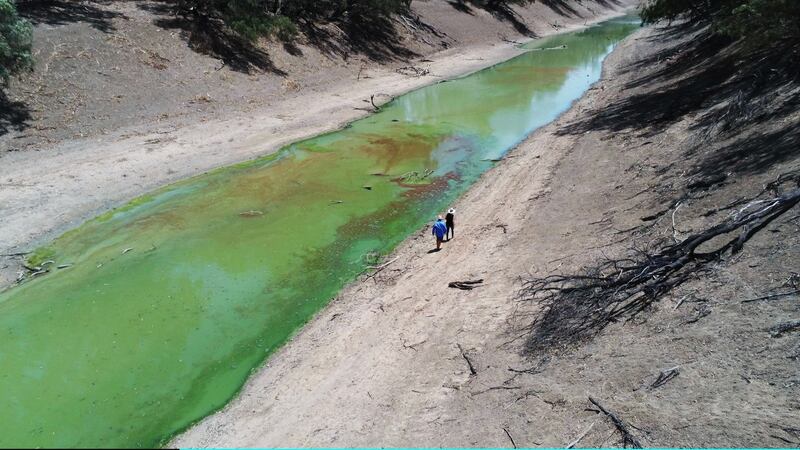 Local communities in the Darling River area of New South Wales are facing drought and clean water shortages. Photograph: Jenny Evans/Getty Images