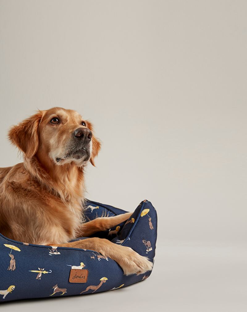 Joules water resistant dog print box bed, from €59.99