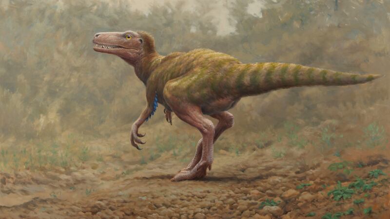 Reconstruction of  life of a Megalosauridae. Artwork by Julian Friers, part of the Lost Monsters series.