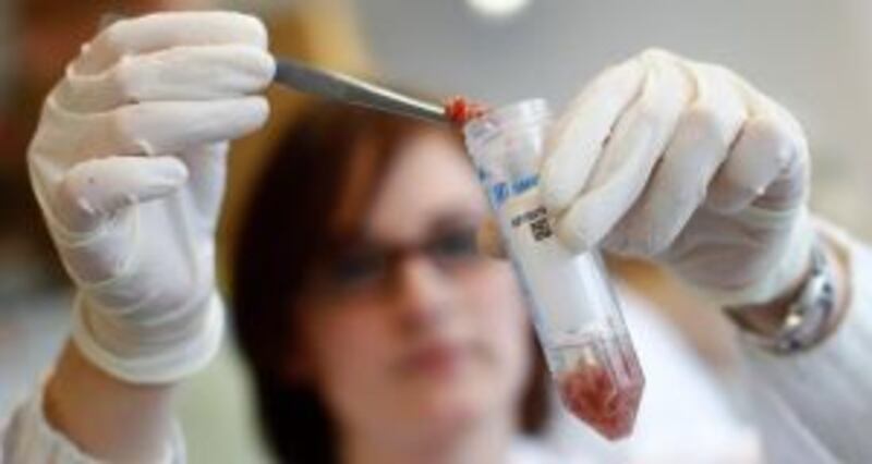 Shocking testy results revealed that many beefburgers were not what they were thought to be. Photograph: Michaela Rehle /Reuters